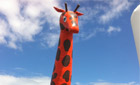 Château girafe